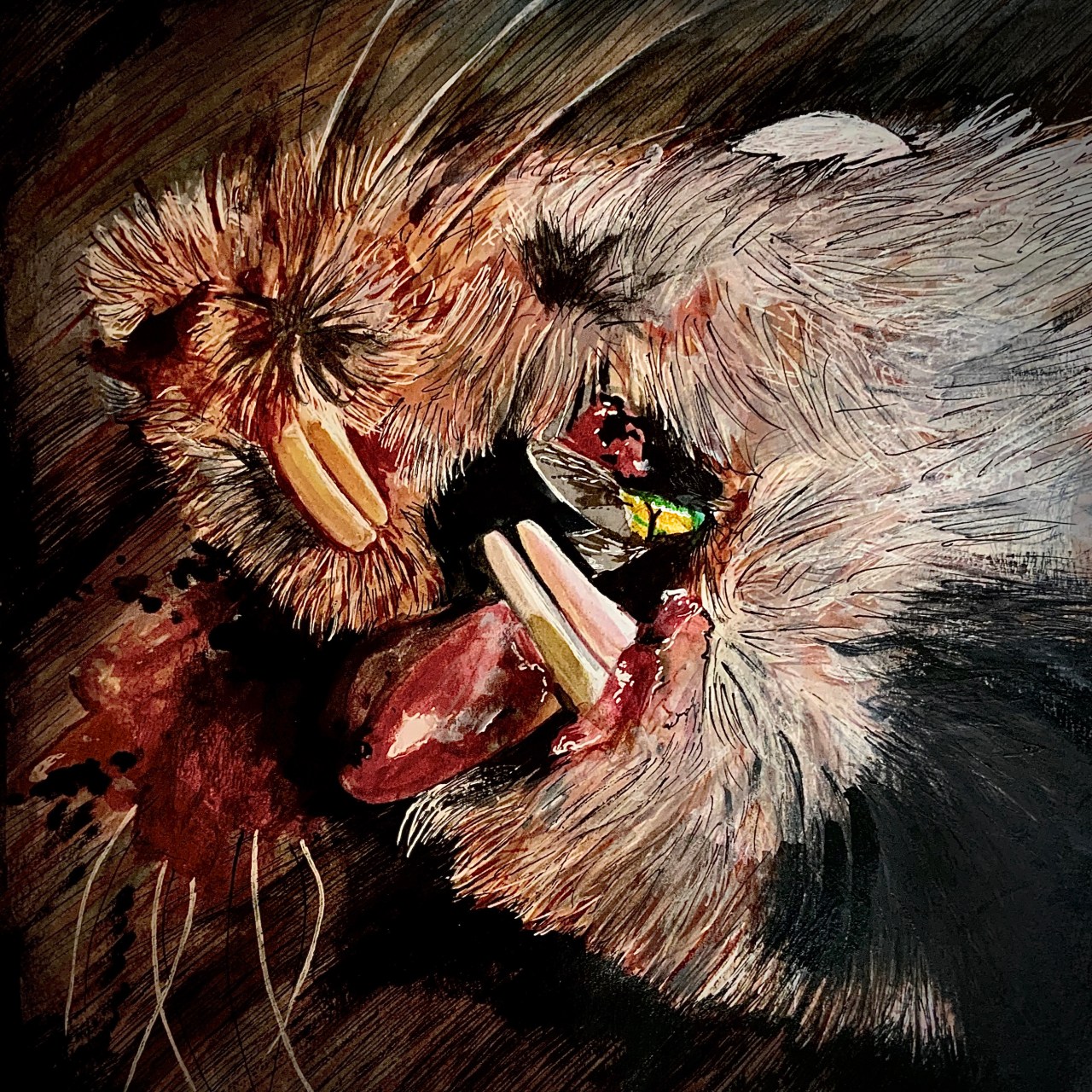 The Symbolism of Dead&nbsp;Animals