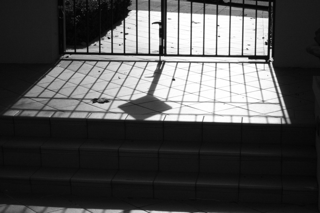 The front steps leading to a gated entrance