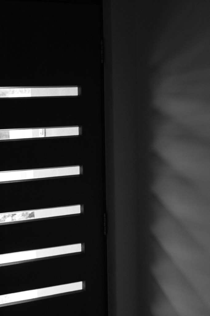 A closeup picture from inside a closet