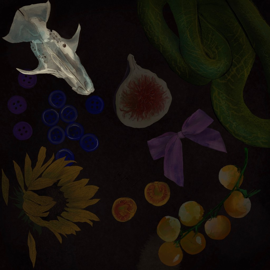 A colorful collage of items, highlighting the white animal skull.