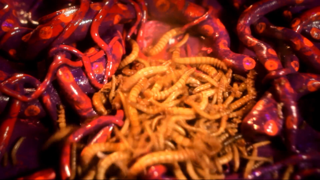 A high-contrast image of grubs.