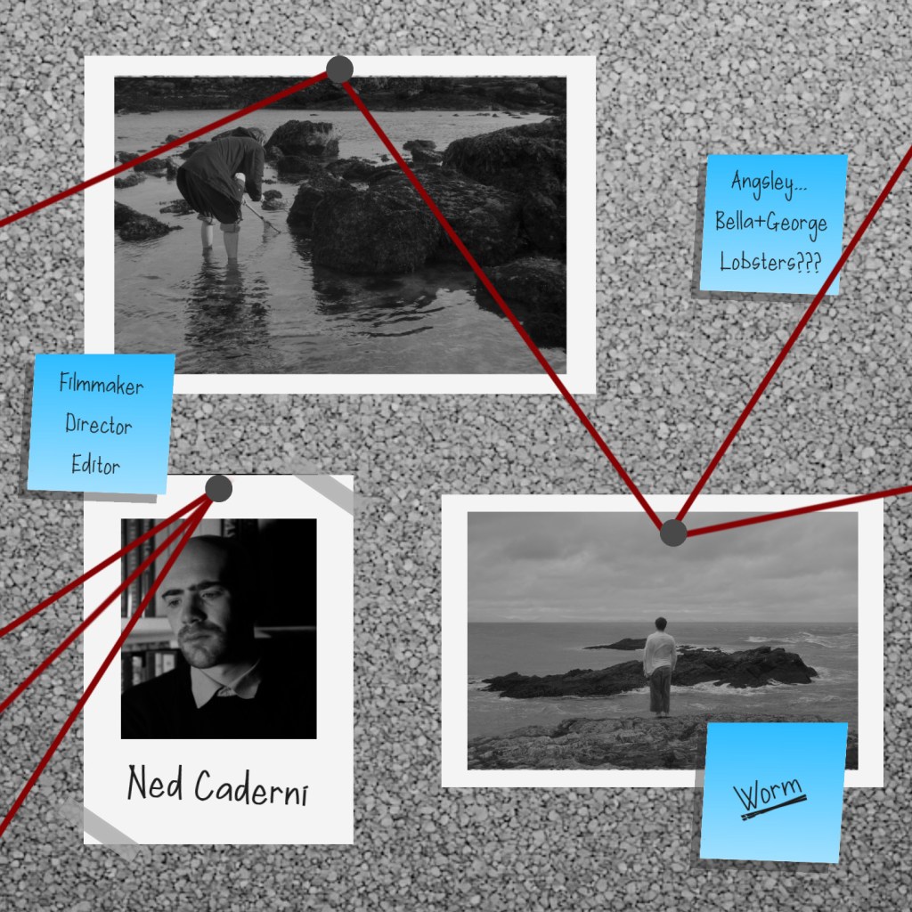 Detective-style cork board with a photo of Ned Caderni and stills from him film, Worm.