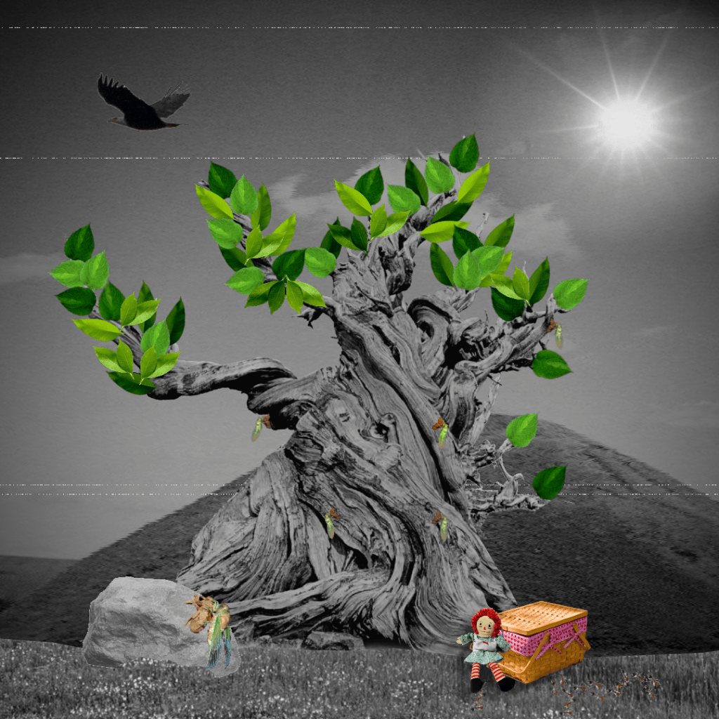 collage of a tree in black and white. in color are its leaves, several molting cicadas, a picnic basket, and a doll. The sun looks bright as a bird flies overhead.